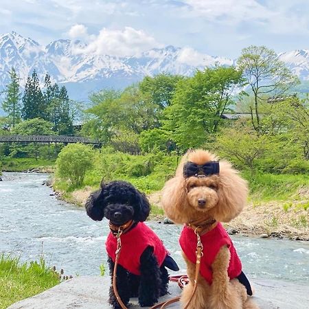 Hotel 白馬パウダーマウンテン à Hakuba Extérieur photo