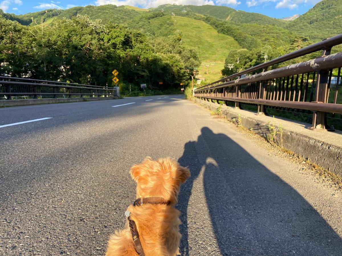 Hotel 白馬パウダーマウンテン à Hakuba Extérieur photo