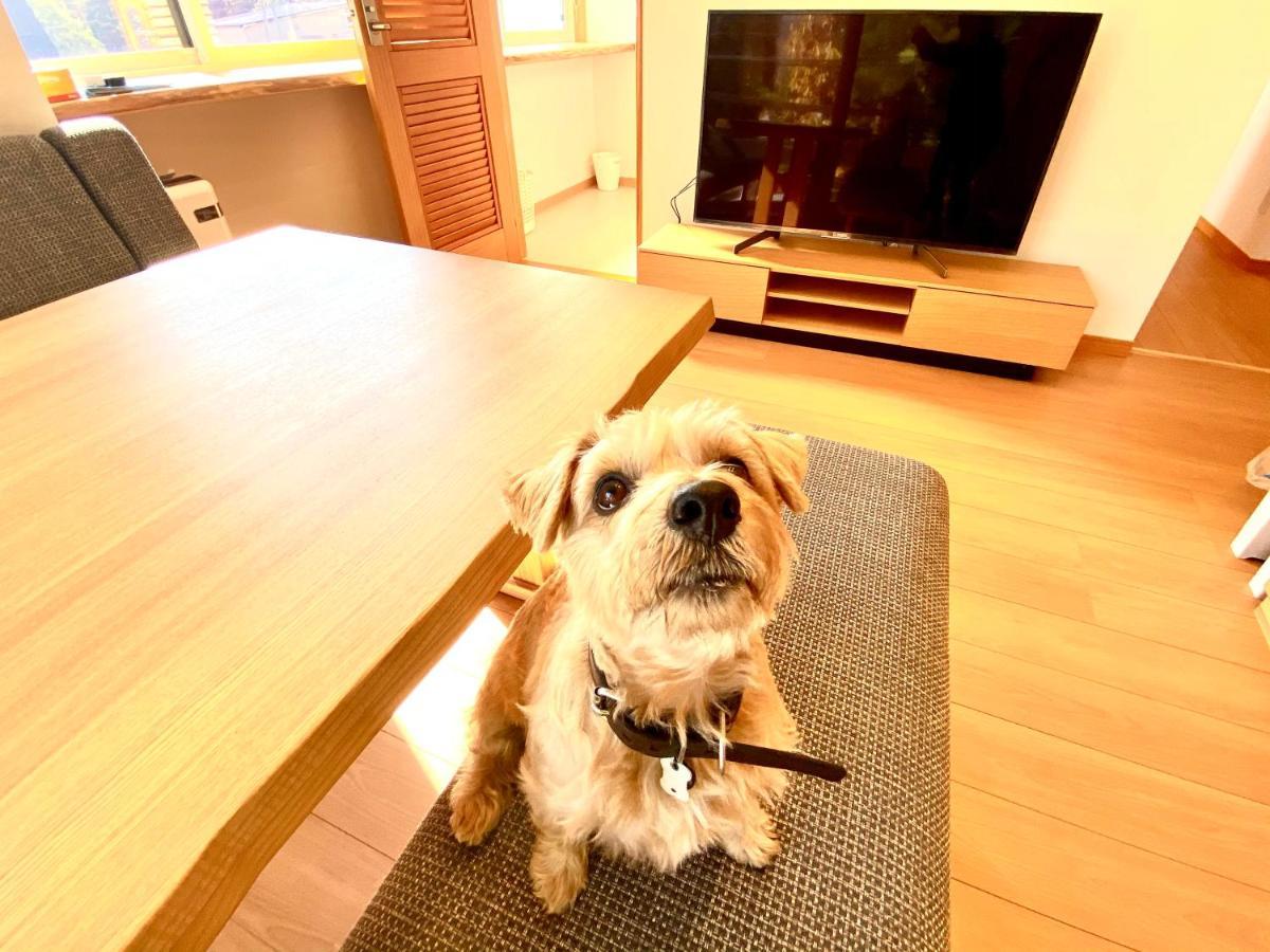 Hotel 白馬パウダーマウンテン à Hakuba Extérieur photo