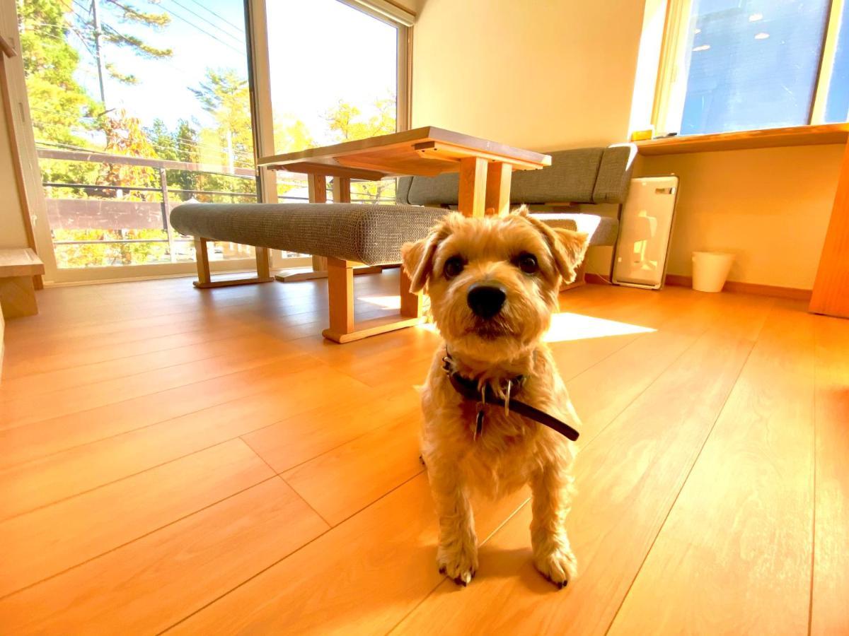 Hotel 白馬パウダーマウンテン à Hakuba Extérieur photo