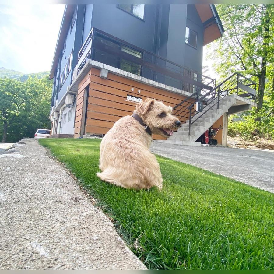 Hotel 白馬パウダーマウンテン à Hakuba Extérieur photo