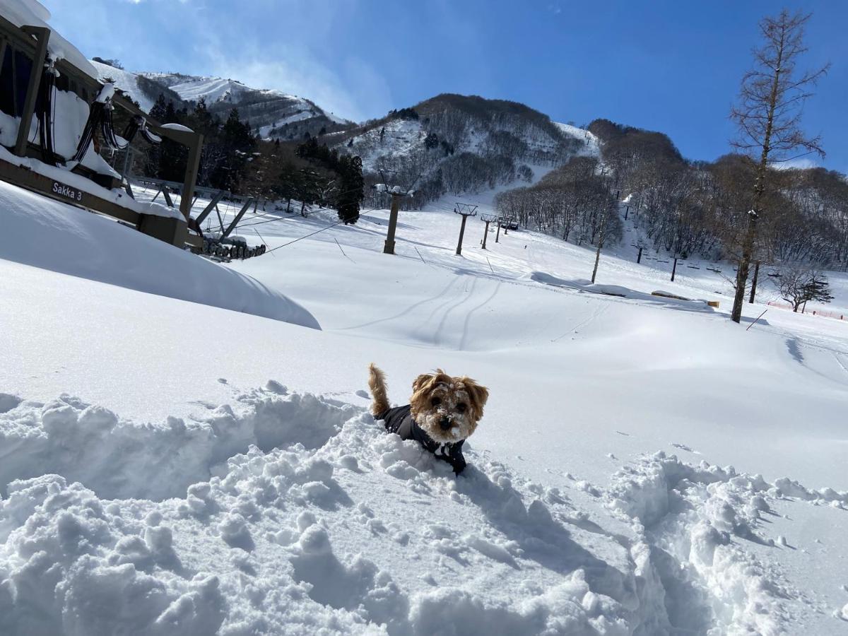 Hotel 白馬パウダーマウンテン à Hakuba Extérieur photo