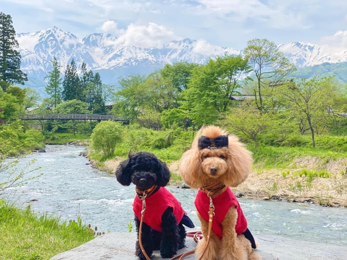 Hotel 白馬パウダーマウンテン à Hakuba Extérieur photo