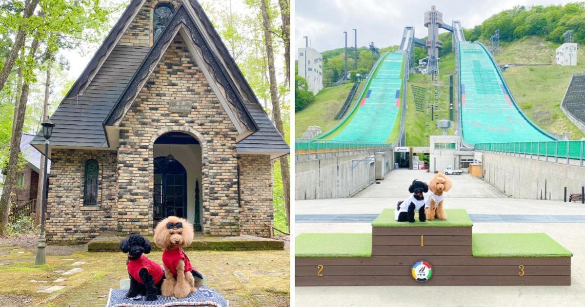 Hotel 白馬パウダーマウンテン à Hakuba Extérieur photo